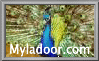 Myladoor.com logo